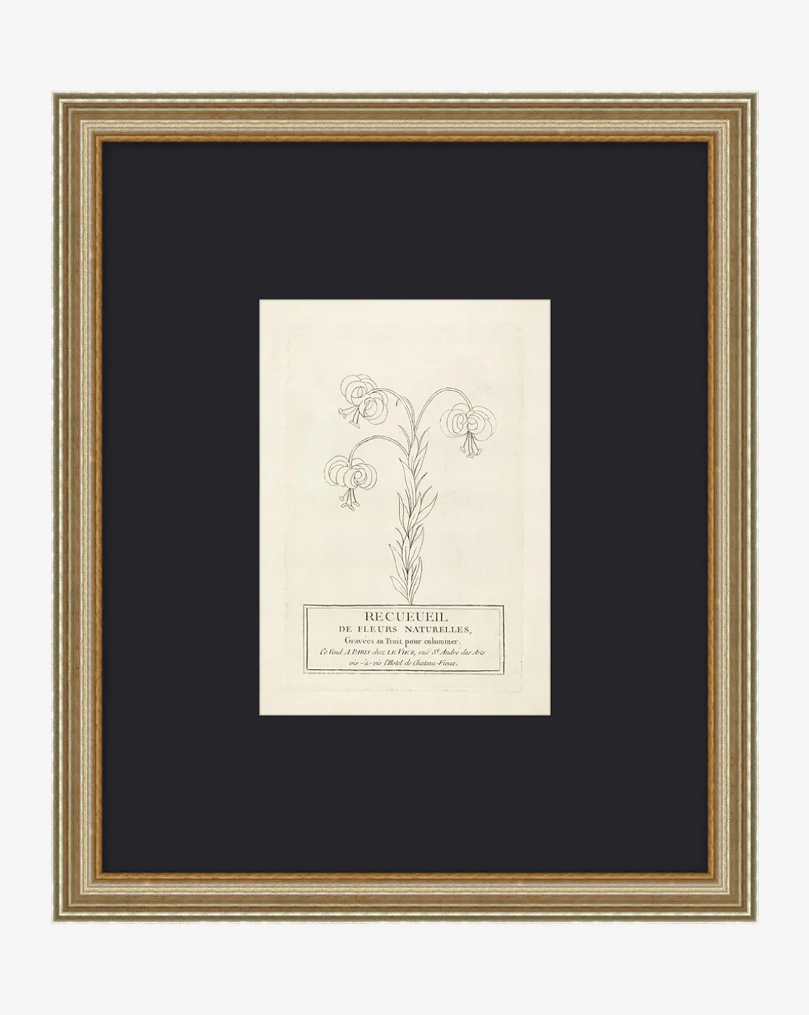 Collection Of French Flowers