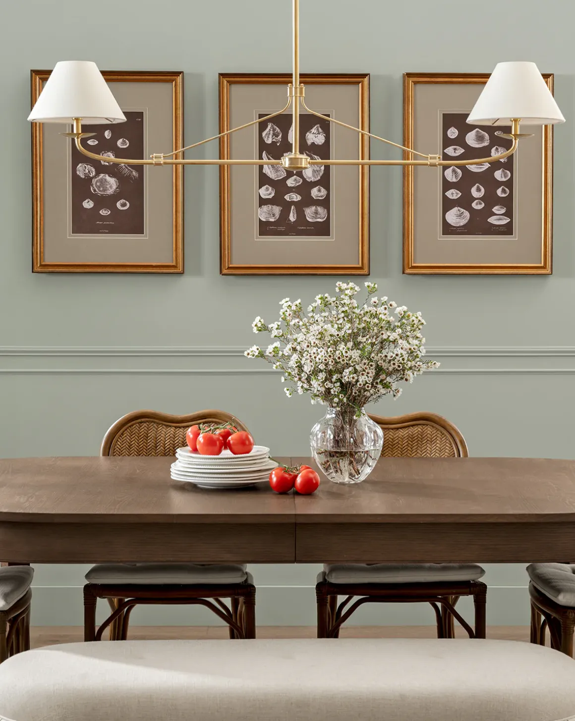 Conchology Study Triptych No. 2