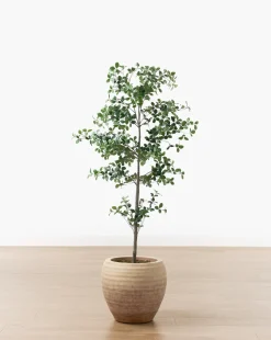 Faux Cascalote Tree