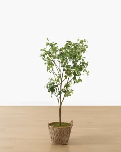 Faux Tangerine Tree