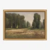 Field in Summer