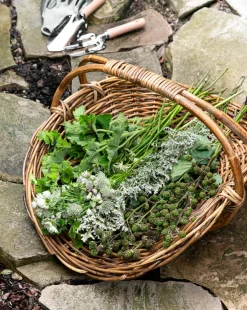 Rattan Gardening Tray