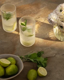 Sanibel Acrylic Highball Drinking Glasses (Set of 4)
