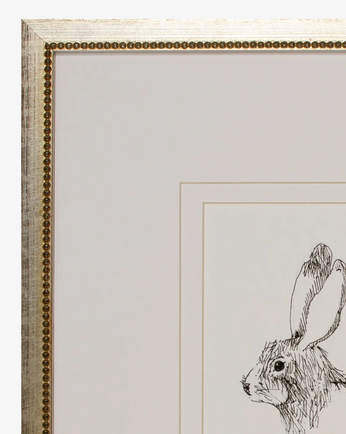 Sketched Bunny I