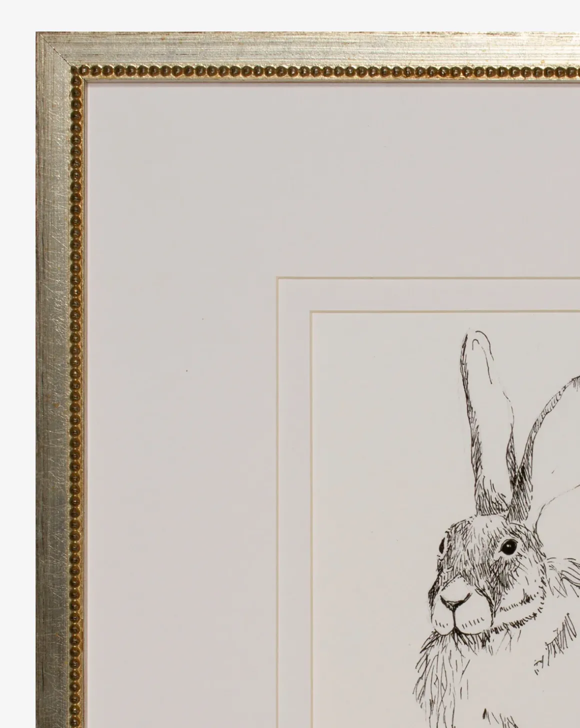Sketched Bunny II