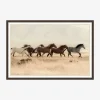 Wild Horses